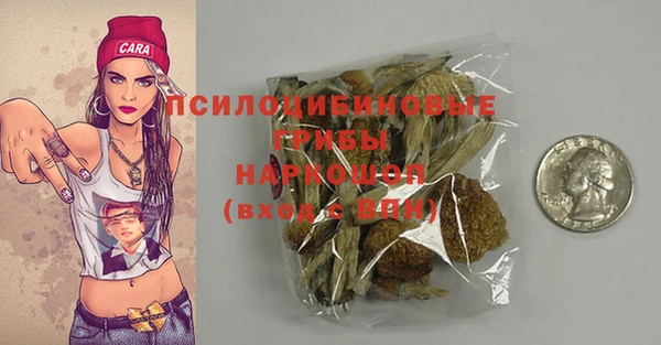 герыч Новодвинск